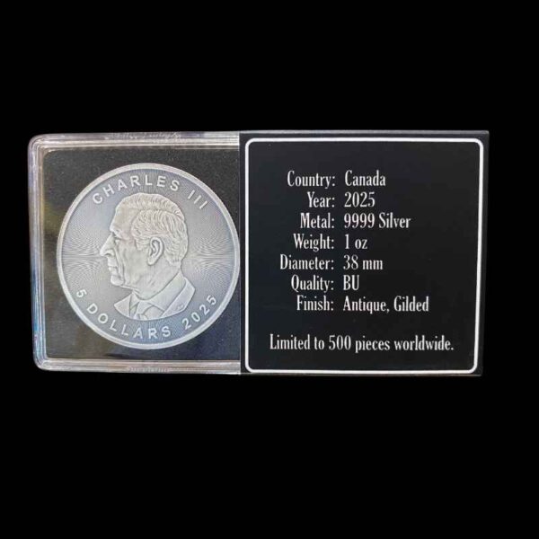 2025 1oz Maple Leaf Silver Antiqued Gilded Coin - Image 3