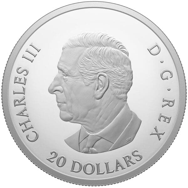 2024 $20 Remembrance Day - 1oz Silver Canada Proof Coin - Image 3