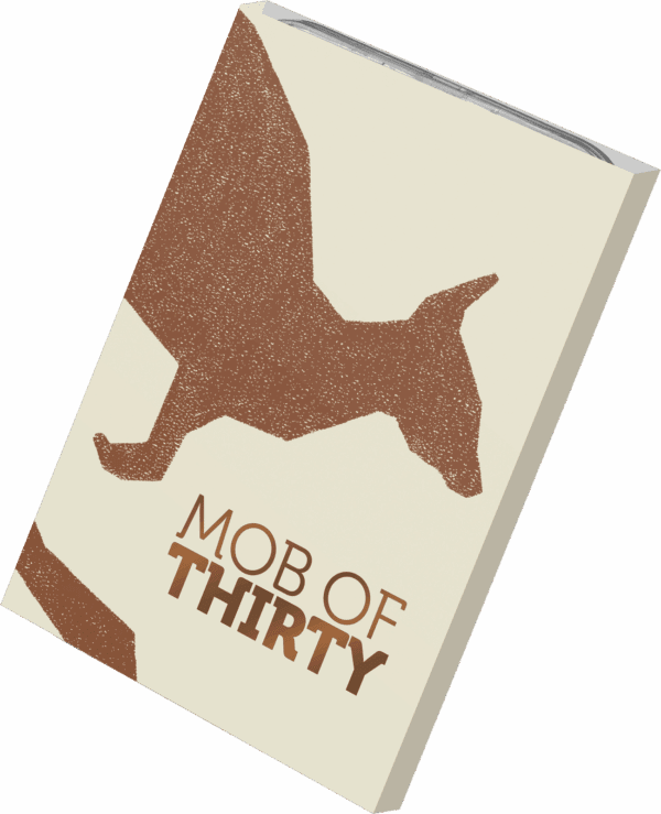 2023 $1 Mob Of Thirty - 30th Anniversary 1oz Silver Frosted ‘C’ Mintmark Coin - Image 4