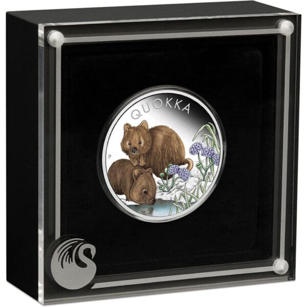2023 $1 Australian Quokka 1oz Silver Proof Coloured Perth Mint Coin - Image 3