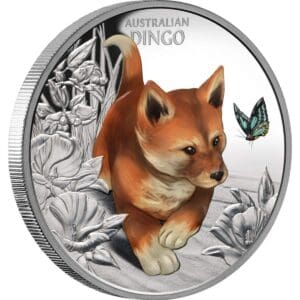 2024 $1 Baby Dingo 1oz Silver Proof Coloured Coin