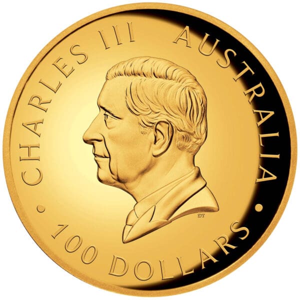 2025 $100 Koala 1oz Gold High Relief Proof Australian Coin - Image 2