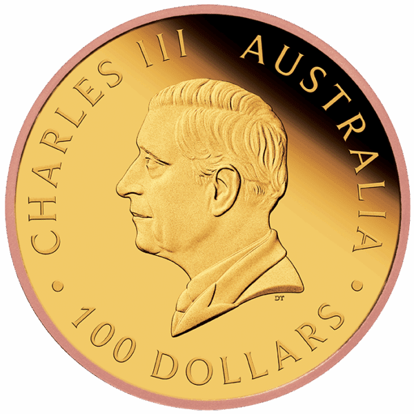 2025 $100 Gold Proof Reverse Gilded Coin - Image 5
